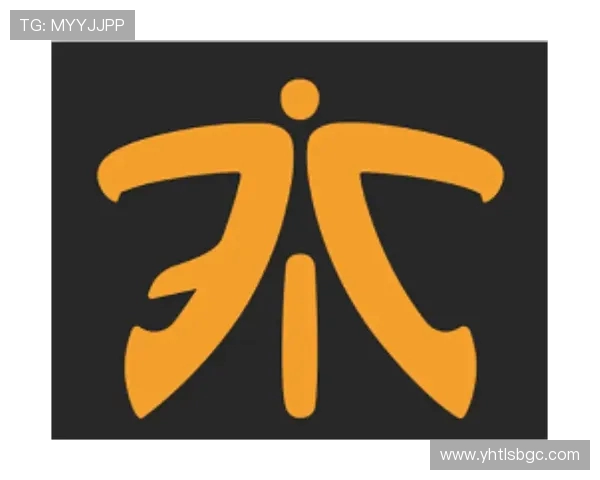 Fnatic战队再掀全球电竞热潮探秘团队崛起背后的力量与荣耀