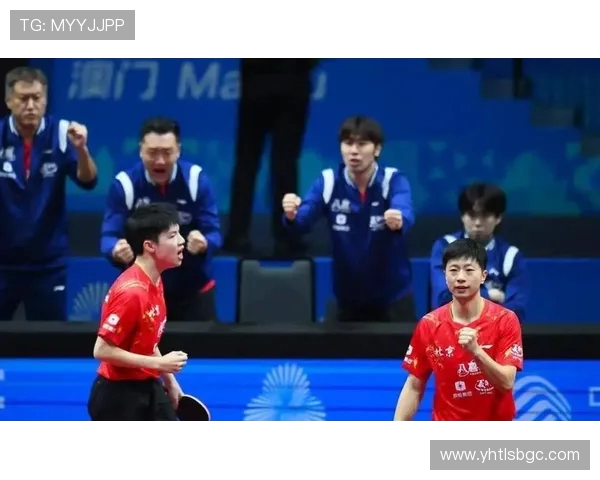 北京乒乓球队技术变革引发热议新策略助力竞技水平提升