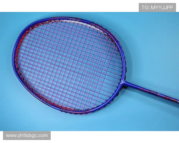 武汉排球队在钻石联赛中的技术表现分析与点评